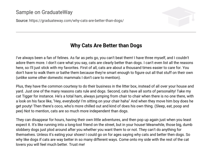 Essay on why dogs are better than cats