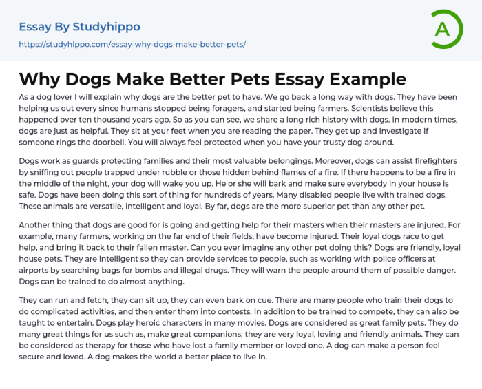 Essay on why dogs are better than cats