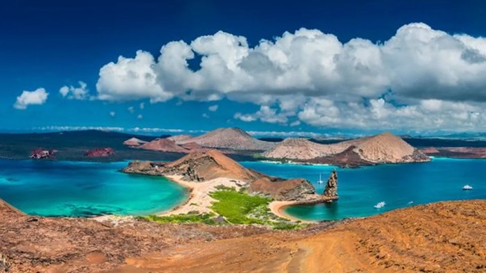 Islas galapagos galápagos especies isla biodiversidad muchas aves reptiles peligro megadiverso invertebrados zonas altas extincion extinción encantada están