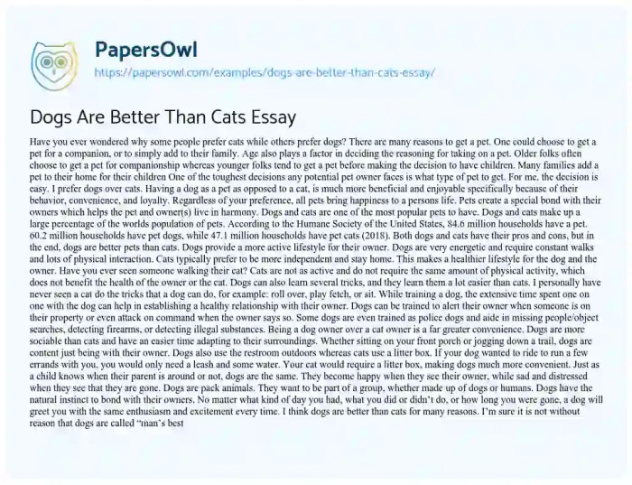 Cats dogs better than why reasons when sorry come call take them