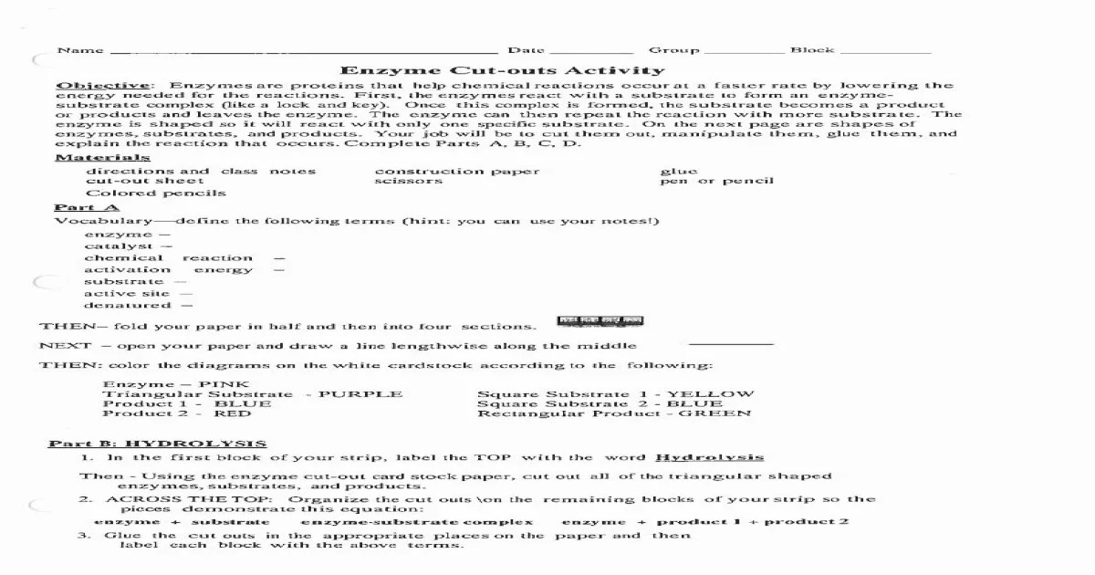 Enzyme cut outs activity answers