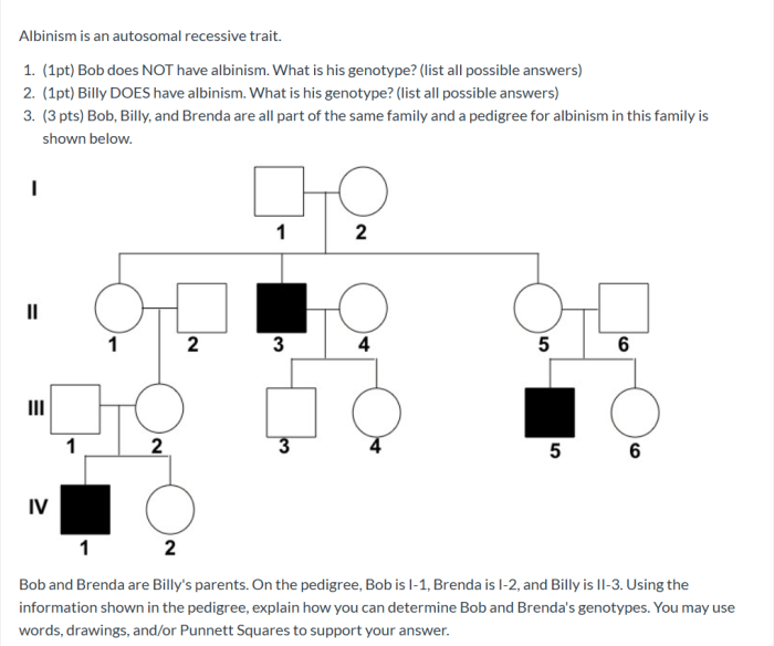 Autosomal pedigrees worksheet answer key