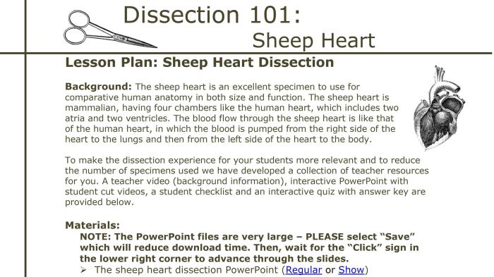 Sheep heart dissection worksheet pdf