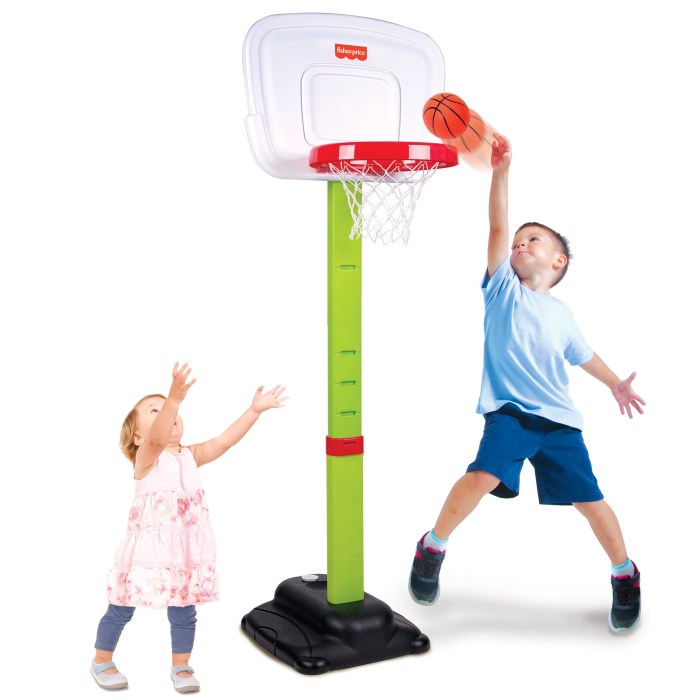 The price that a company charged for a basketball hoop