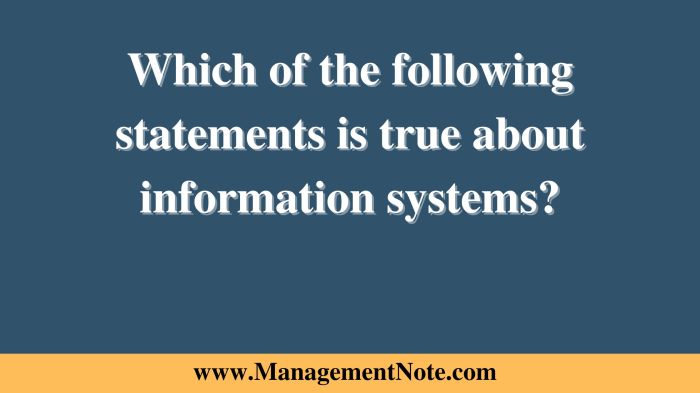 Which of the following statements is true of information systems