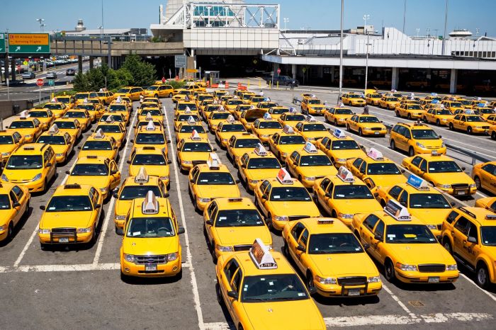 There are many taxis at the station in spanish duolingo