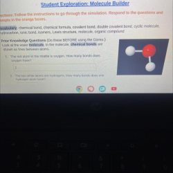 Student exploration molecule builder answer key