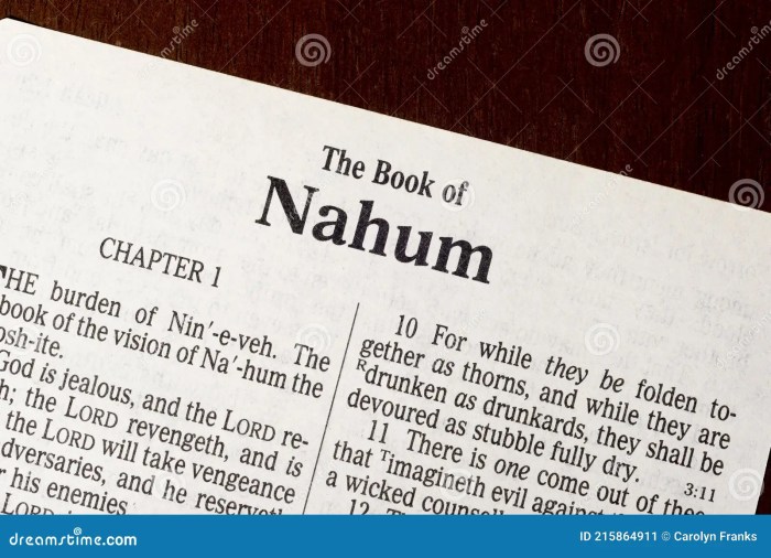 Nahum scripture testament